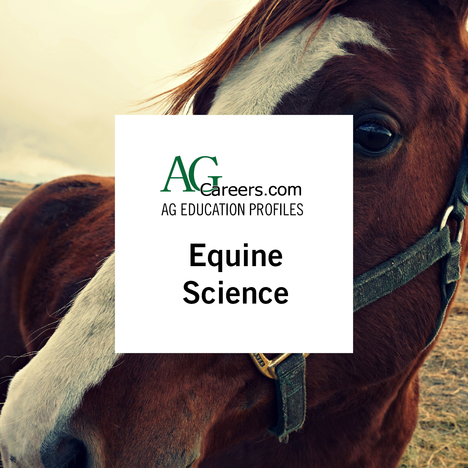 Equine Science